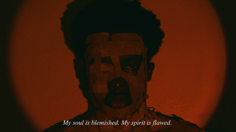 кадр из фильма Absence of Color.