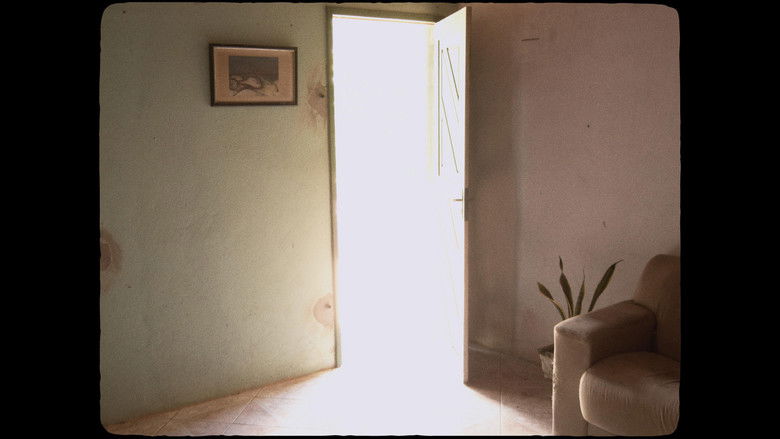 кадр из фильма Moventes