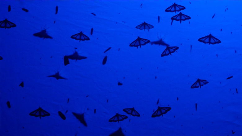 кадр из фильма Erpe-Mere