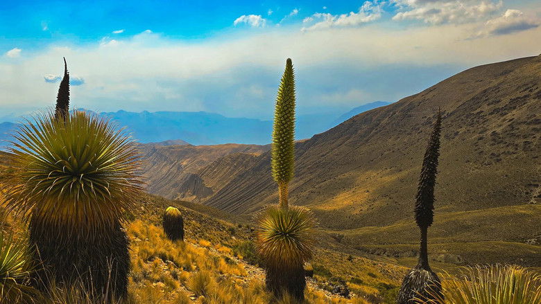 кадр из фильма Oasen: Inseln des Lebens