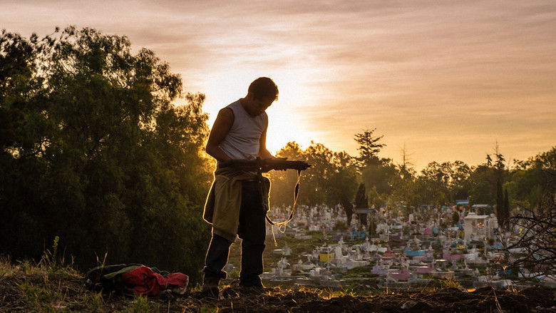 кадр из фильма Хозяин смерти 2