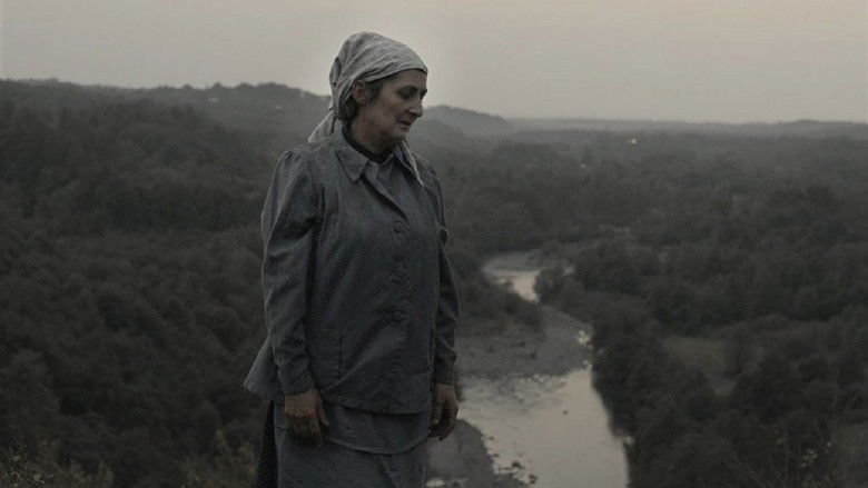 кадр из фильма Софичка