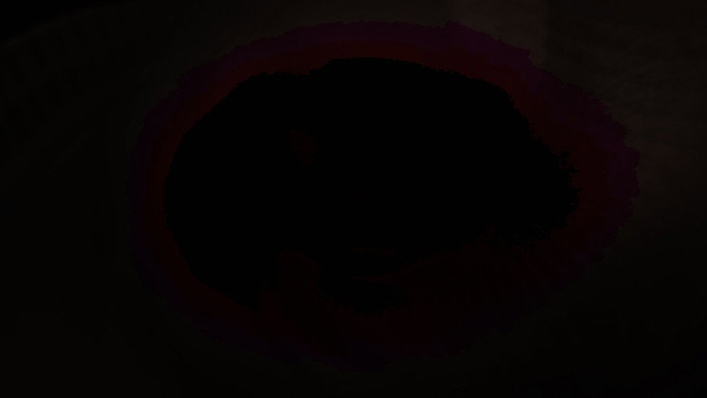 кадр из фильма The Somnambulist