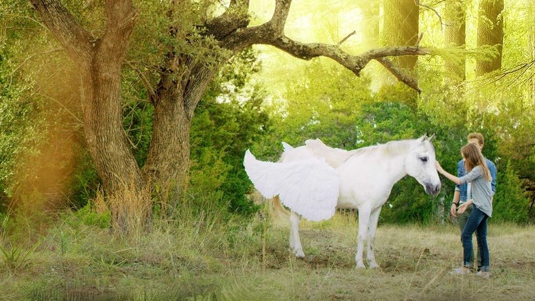 кадр из фильма Пегас: Волшебный пони