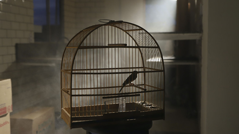 кадр из фильма Cantô Meu Alvará