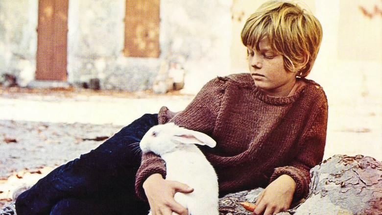 кадр из фильма La Promesse