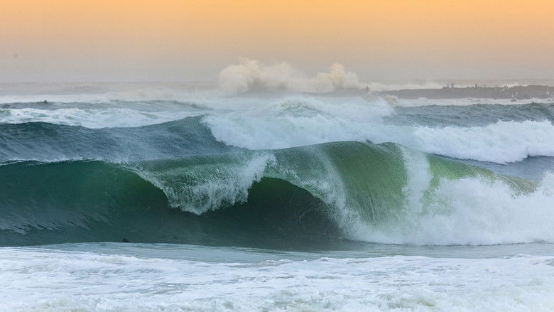 кадр из фильма The Bottom Line