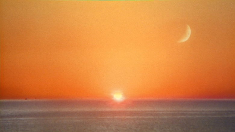 кадр из фильма La quimera de Yemayá