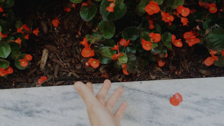 кадр из фильма AURORA: Nothing Is Eternal