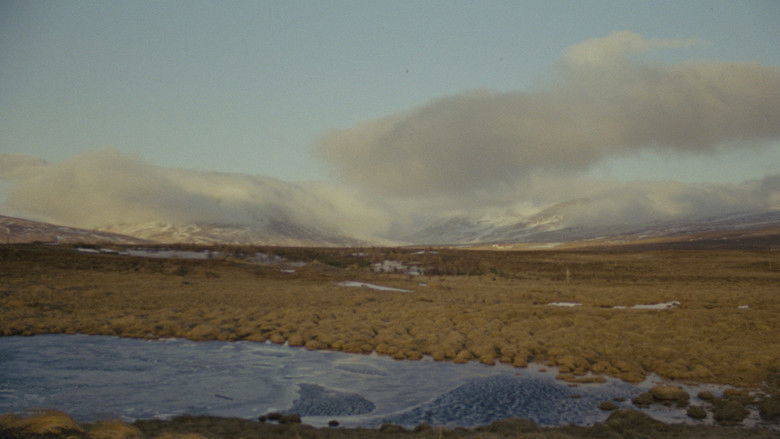 кадр из фильма Точка и линия на плоскости