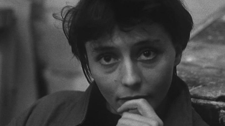 кадр из фильма Elle a passé tant d'heures sous les sunlights...