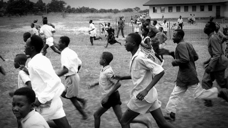 кадр из фильма Coeur noir, homme blanc