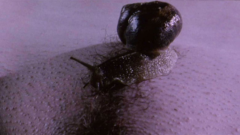 кадр из фильма Belle de Nature