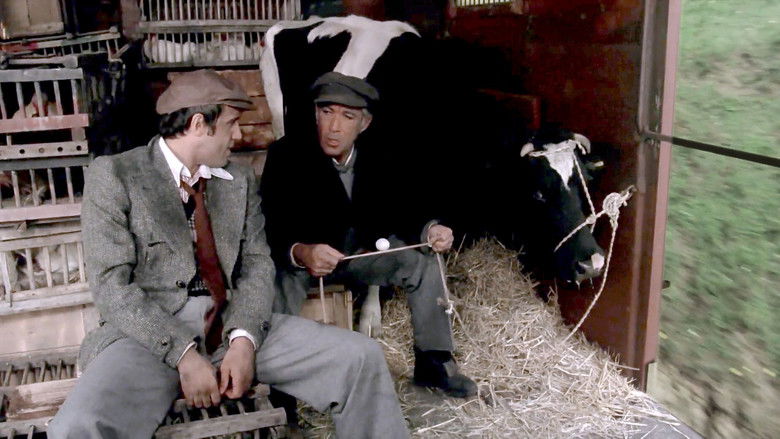 кадр из фильма Блеф