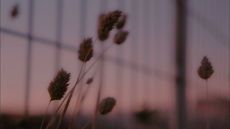 кадр из фильма Growing Pains