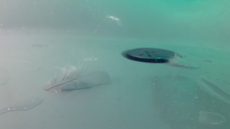 кадр из фильма Déchu