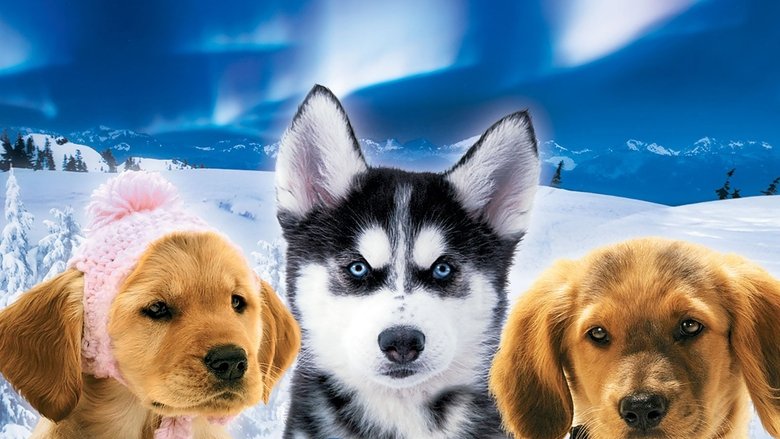 кадр из фильма Снежная пятёрка