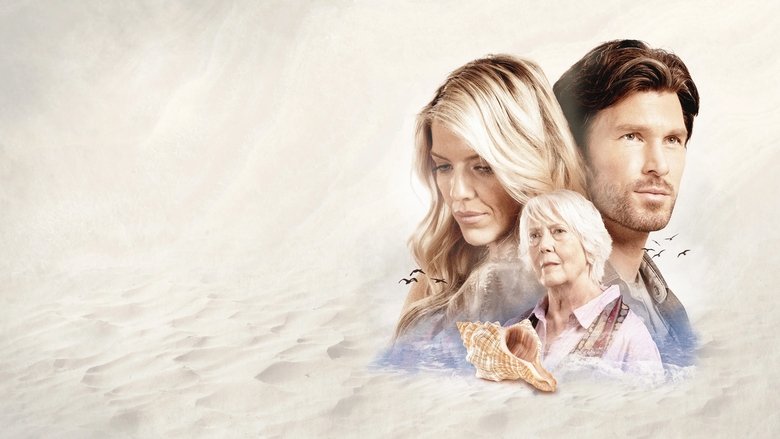 кадр из фильма The Shell Collector