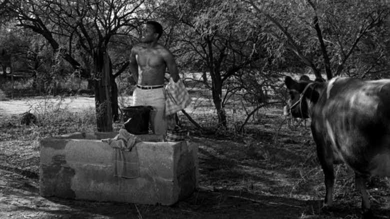 кадр из фильма Полевые лилии