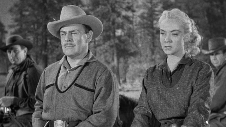 кадр из фильма Woman They Almost Lynched