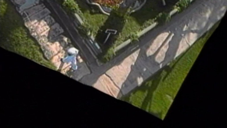 кадр из фильма Wax, or The Discovery of Television Among the Bees