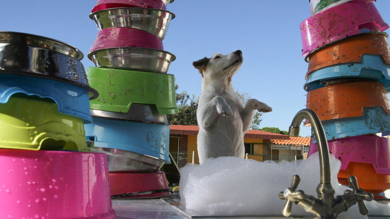 кадр из фильма Pancho, el perro millonario