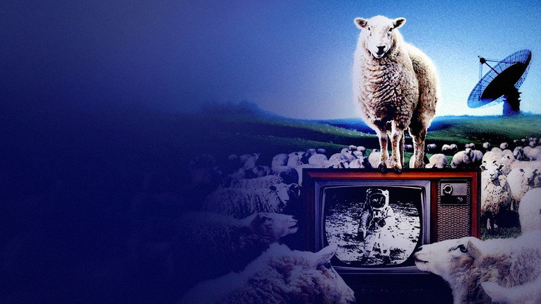 кадр из фильма Тарелка