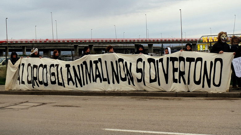 кадр из фильма L’ultimo spettacolo