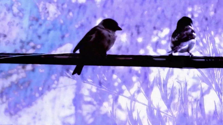 кадр из фильма Casa Chica