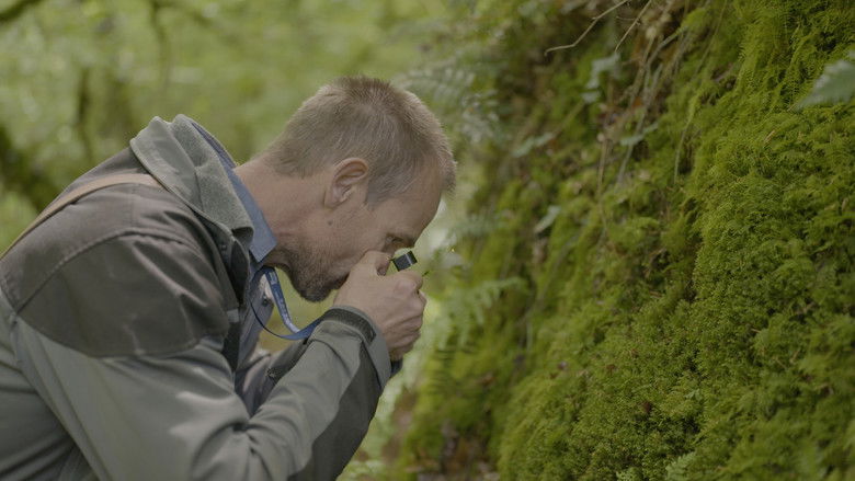 кадр из фильма Sa Majesté les mousses