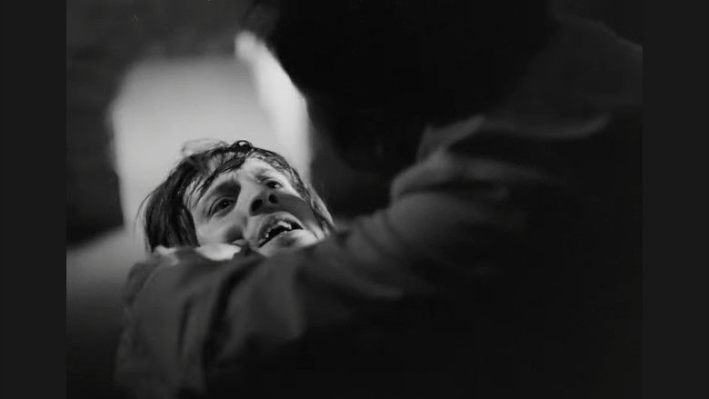 кадр из фильма Štićenik