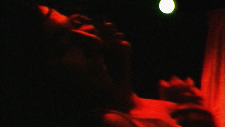 кадр из фильма Pulpe Amère