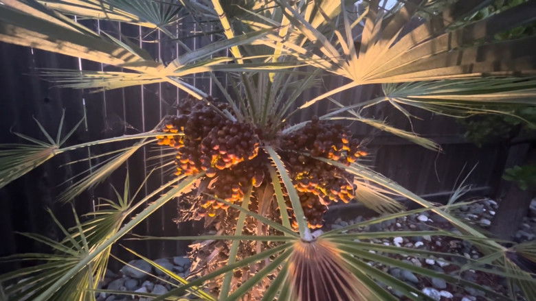 кадр из фильма Back Alley Bomb Squad