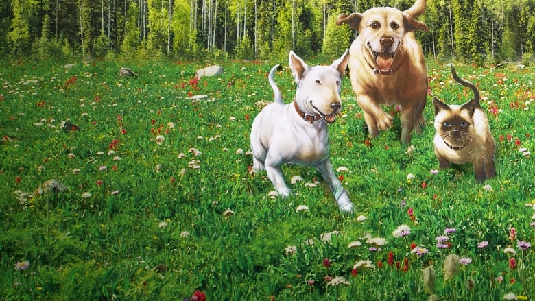 Невероятное путешествие