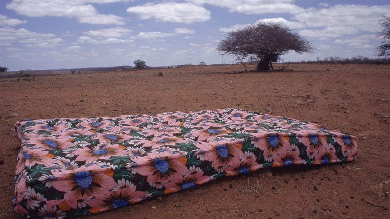 кадр из фильма Viajo Porque Preciso, Volto Porque Te Amo