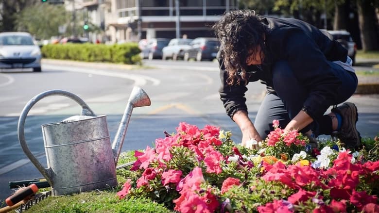 кадр из фильма Un jardín para Pichón