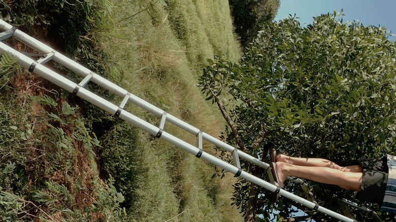 кадр из фильма Rotasi