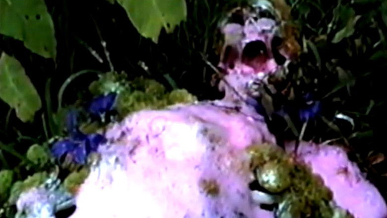 кадр из фильма Variant II