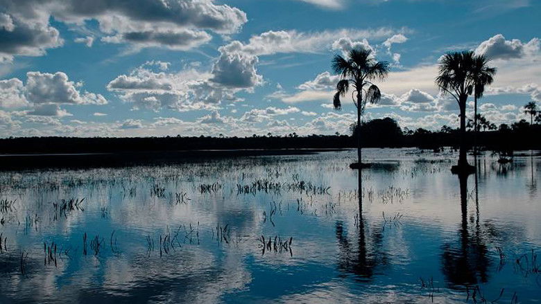 кадр из фильма Ouvir o Rio: Uma Escultura Sonora de Cildo Meireles