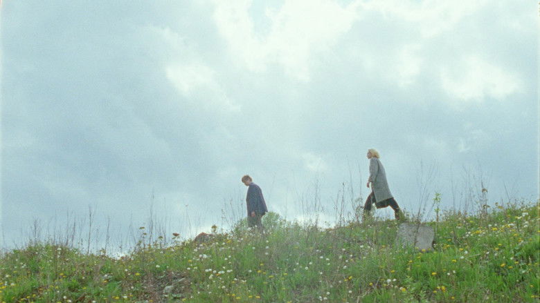 кадр из фильма Открытый диапазон