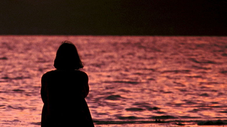 кадр из фильма Undercurrents: Meditations on Power