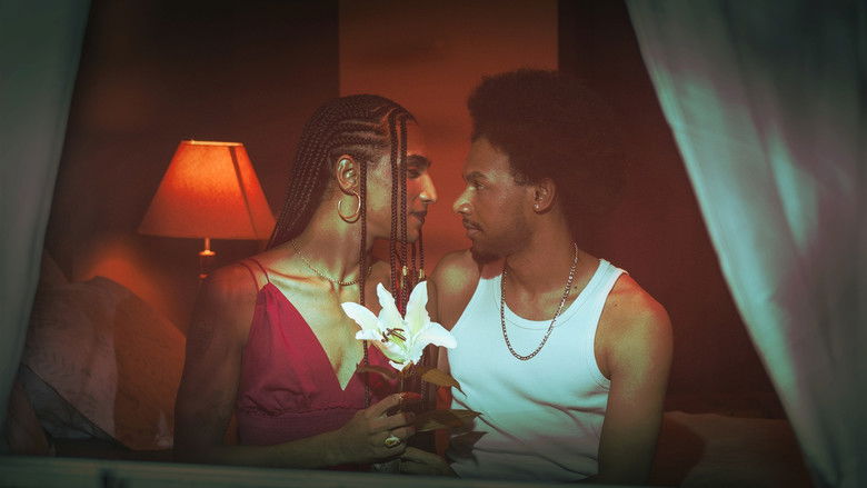 кадр из фильма Lírios