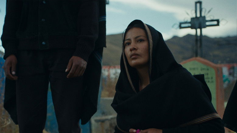 кадр из фильма La anatomía de los caballos