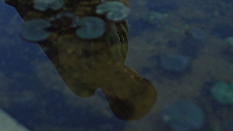 кадр из фильма 군산: 거위를 노래하다