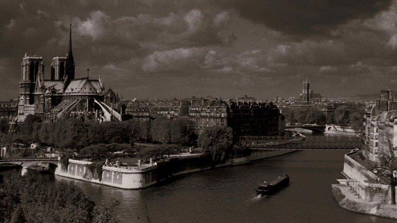 кадр из фильма Здравствуй, грусть