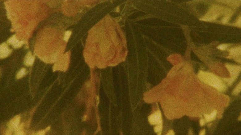 кадр из фильма Seasons/Patterns