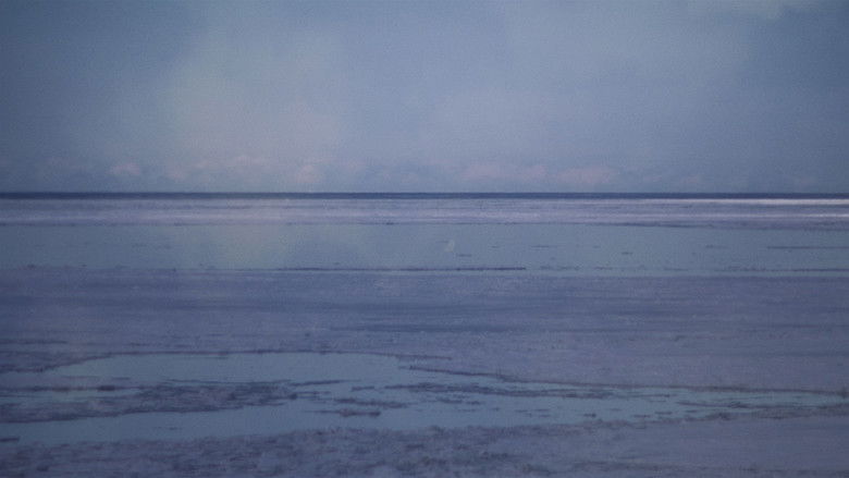 кадр из фильма La trajectoire des marées