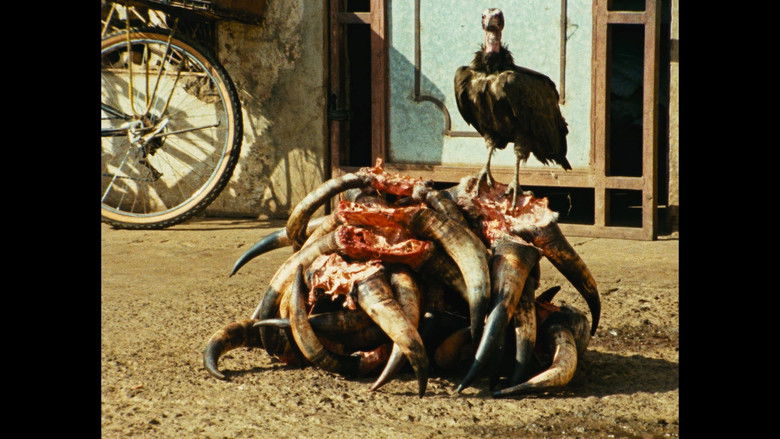 кадр из фильма Amílcar