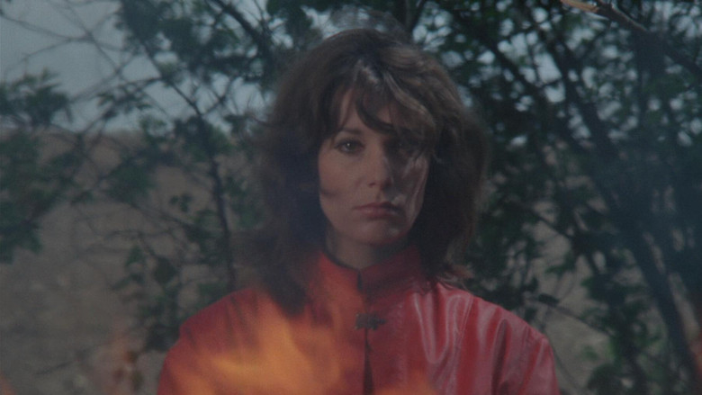 кадр из фильма Невеста пирата