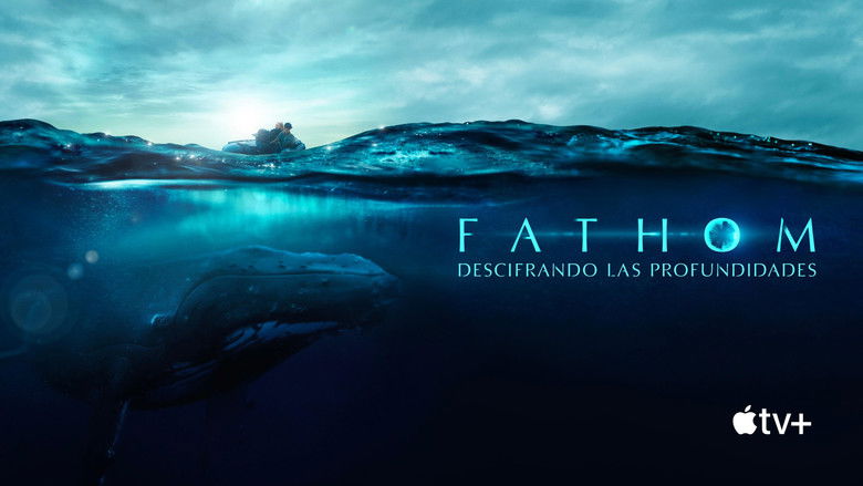 кадр из фильма Голос океана